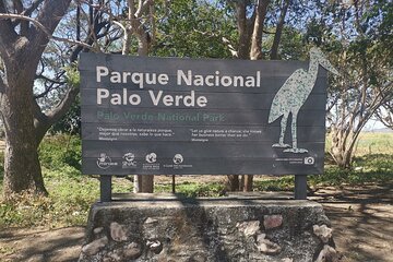 Palo Verde Park National Costa Rica Tour