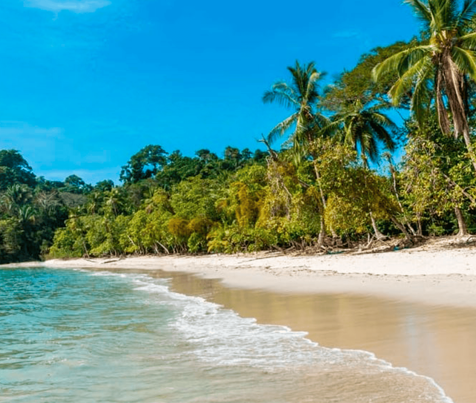 Costa Rica Tour Manuel Antonio