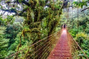 Park National Monteverde Costa Rica Tour