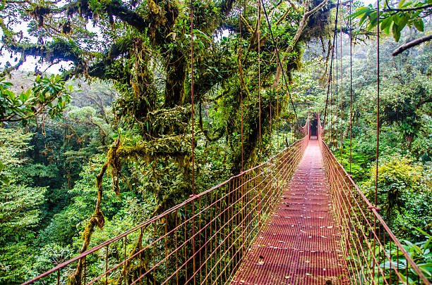 Park National Monteverde Costa Rica Tour